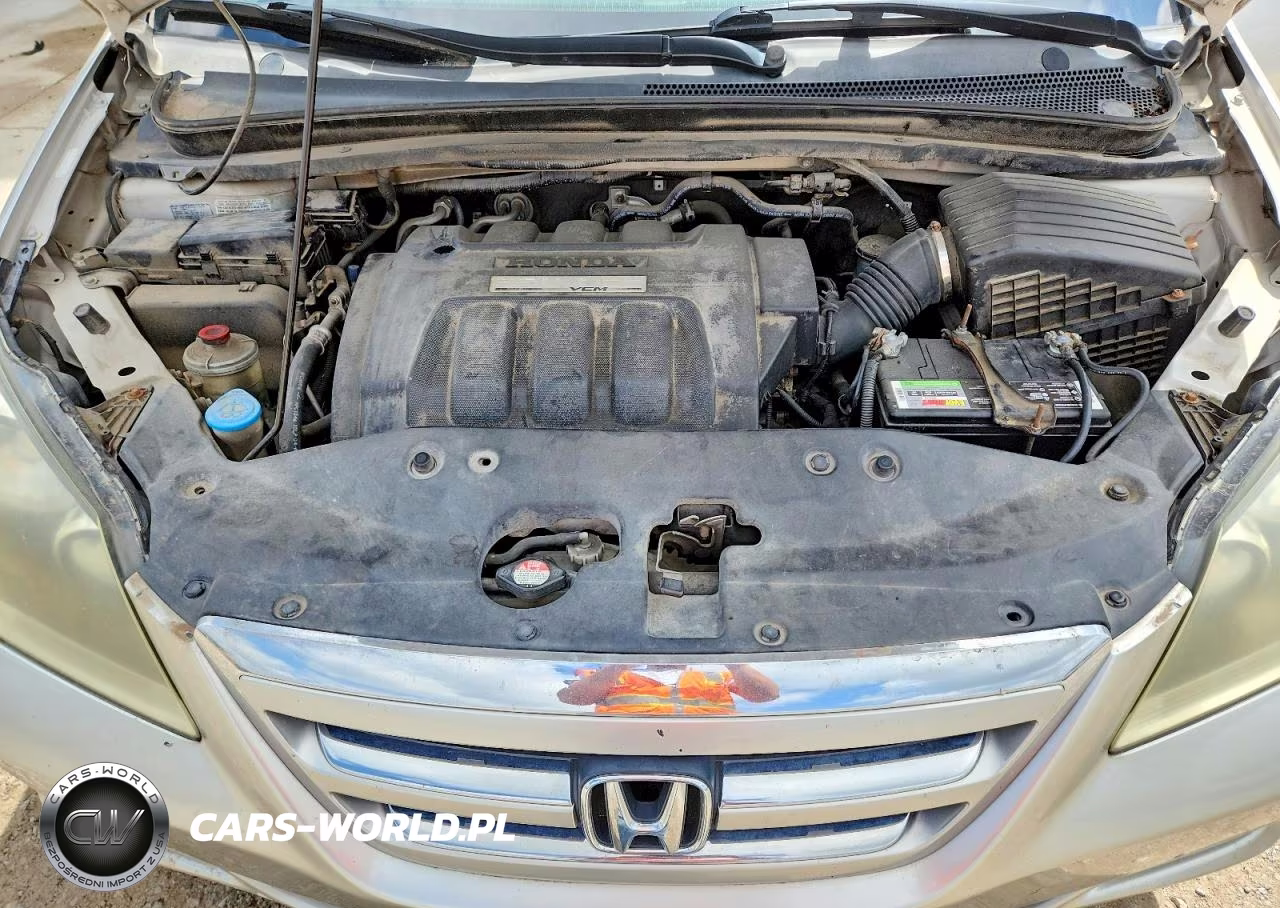 2005 Honda Odyssey Exl VIN:5FNRL38605B407138 - 12