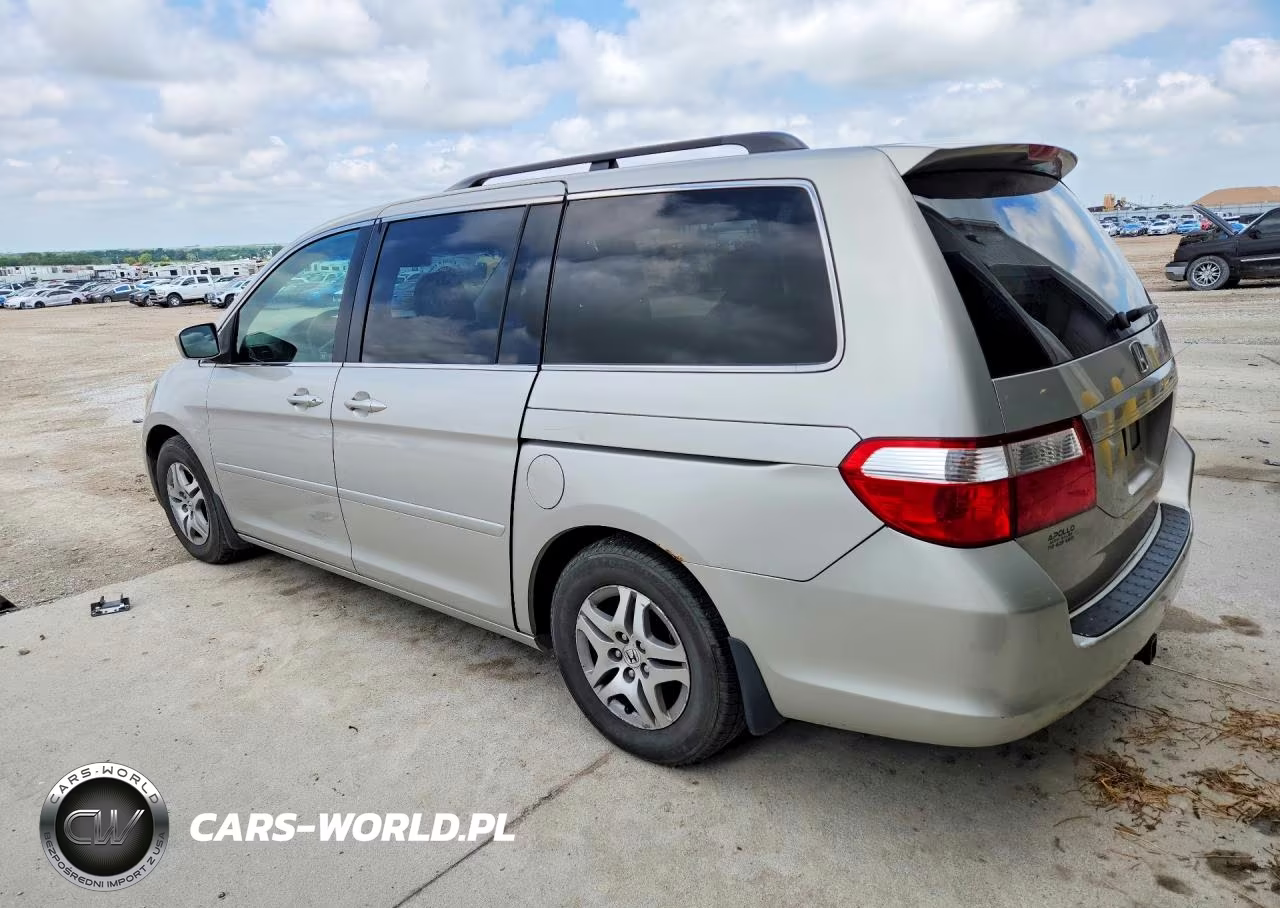 2005 Honda Odyssey Exl VIN:5FNRL38605B407138 - 2