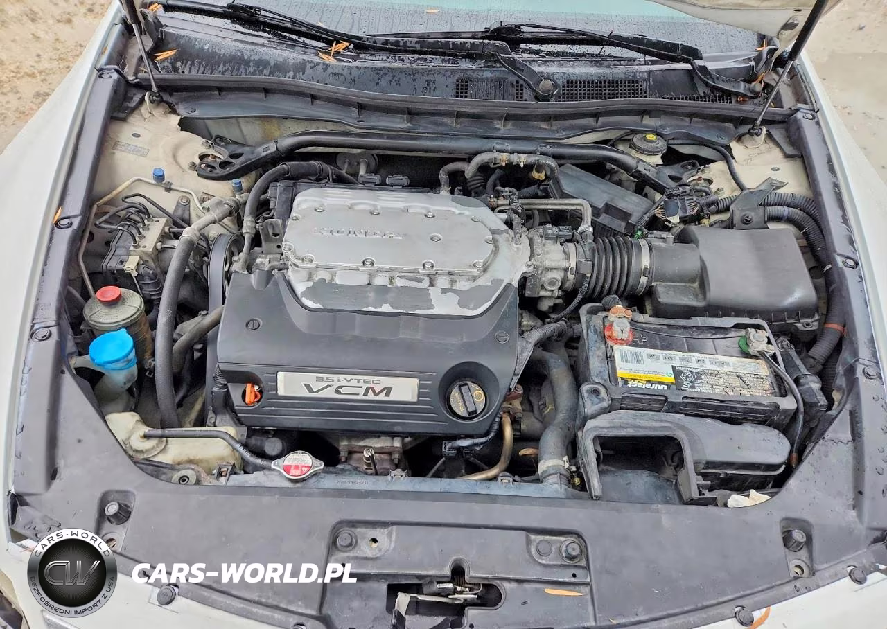 2011 Honda Accord Exl VIN:1HGCS2B86BA008804 - 11
