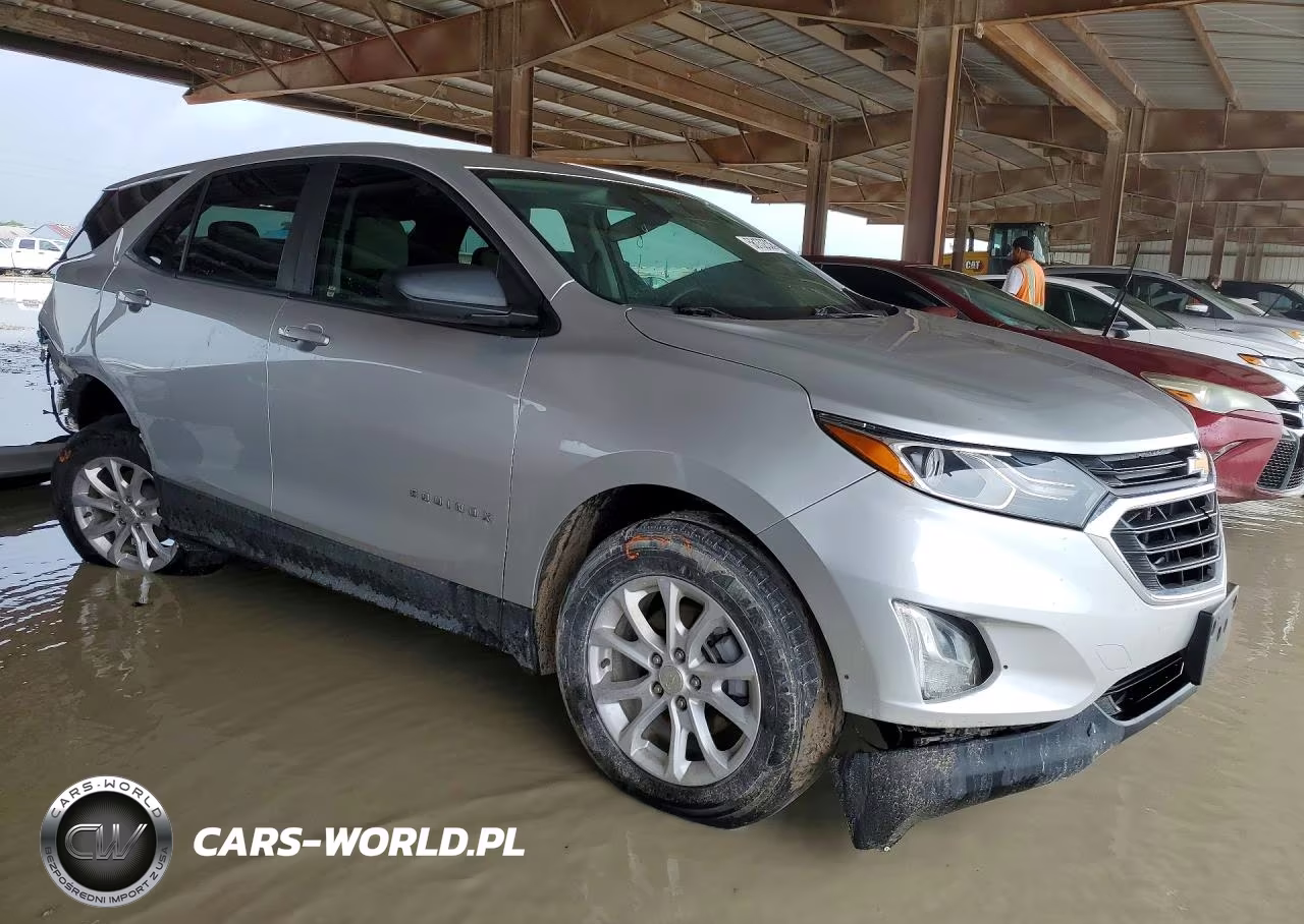 2020 Chevrolet Equinox Ls VIN:3GNAXHEV1LS589731 - 4