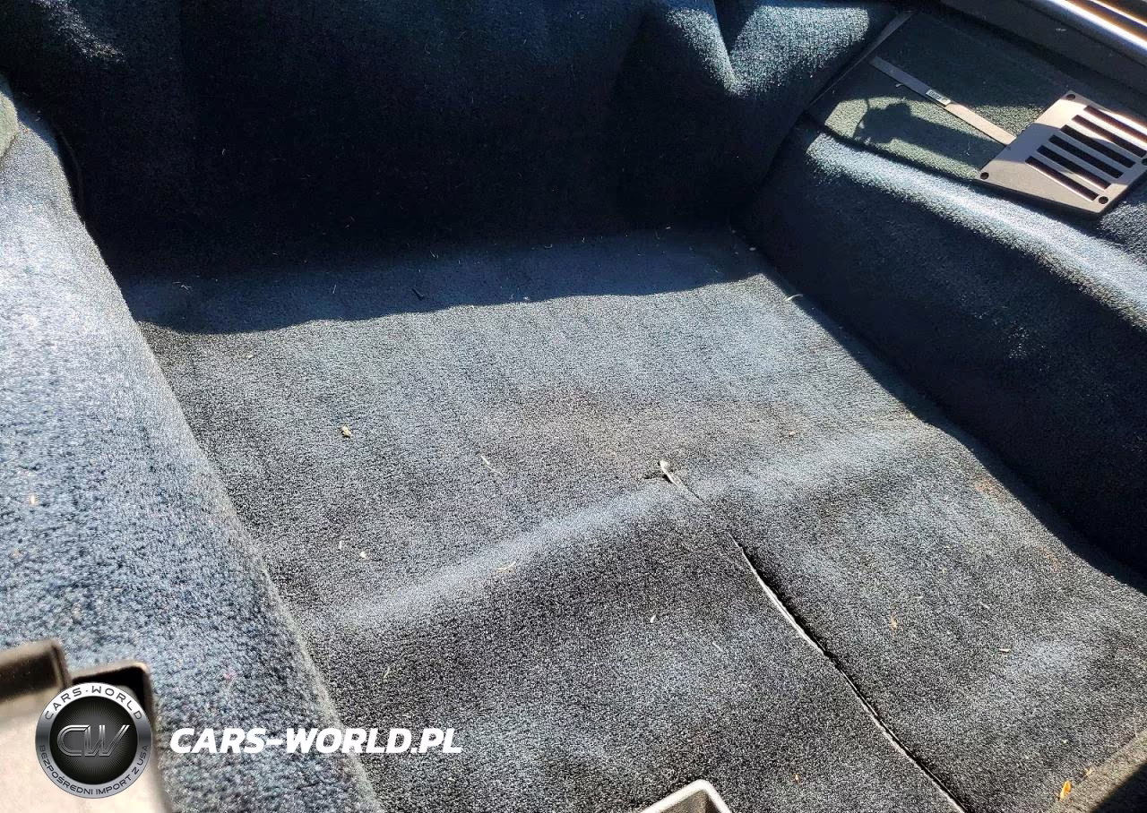 1993 Chevrolet Corvette VIN:1G1YY23P7P5112798 - 10