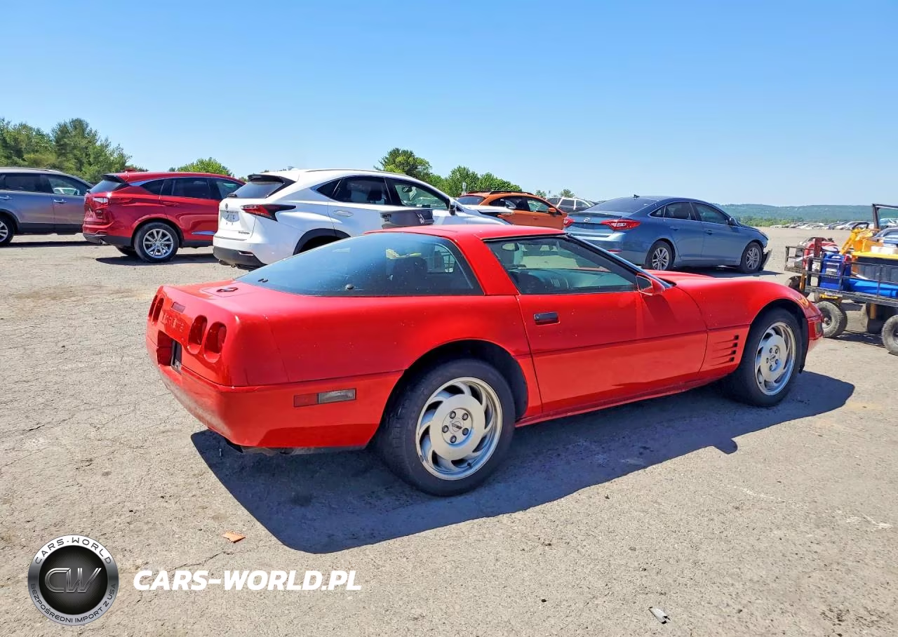 1993 Chevrolet Corvette VIN:1G1YY23P7P5112798 - 3