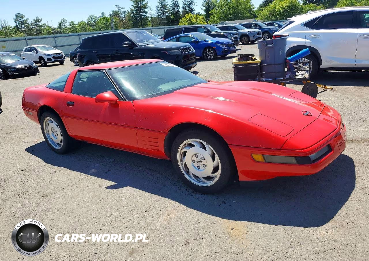 1993 Chevrolet Corvette VIN:1G1YY23P7P5112798 - 4