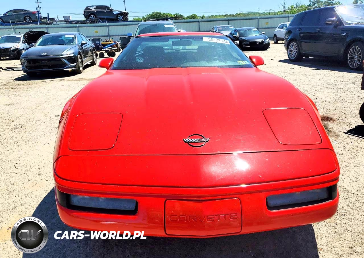 1993 Chevrolet Corvette VIN:1G1YY23P7P5112798 - 5