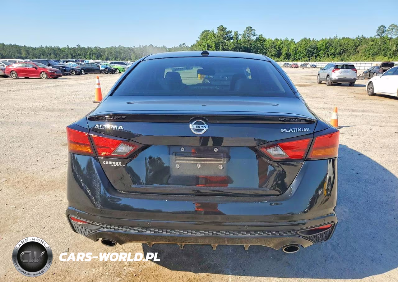 2020 Nissan Altima Platinum VIN:1N4BL4FV3LC115811 - 6