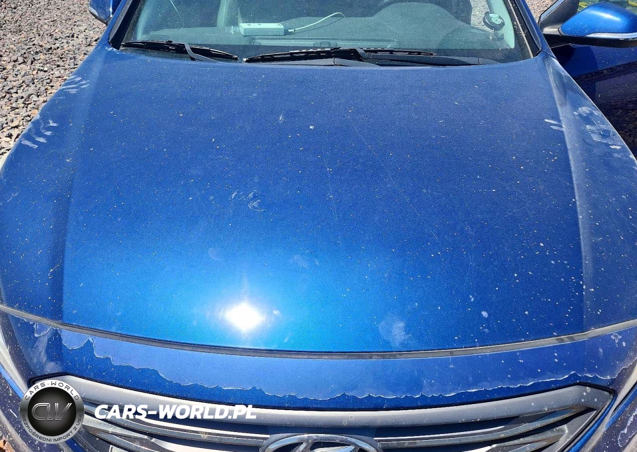 2015 Hyundai Sonata Sport VIN:5NPE34AF4FH200723 - 11