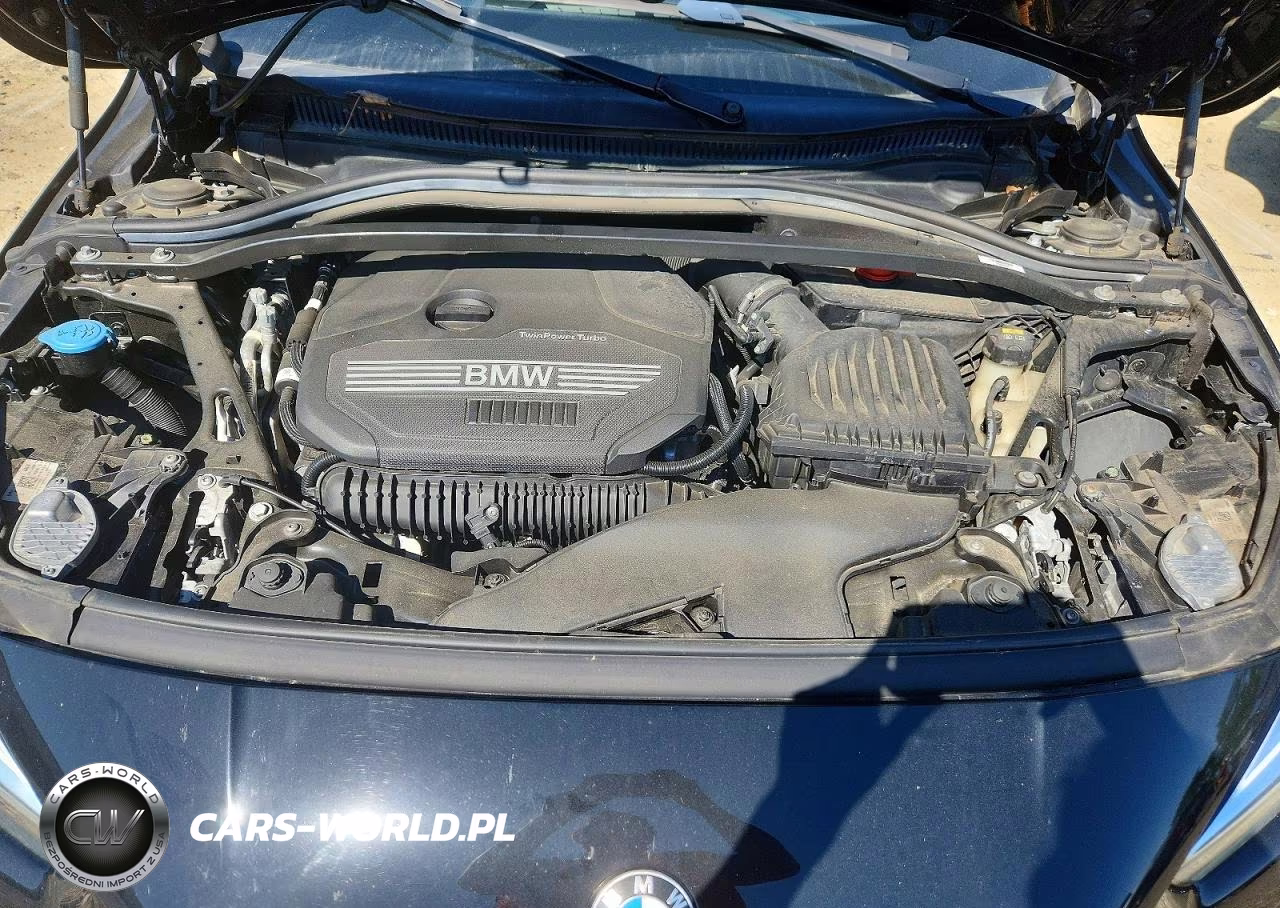 2021 BMW 228Xi VIN:WBA73AK04M7H76816 - 11