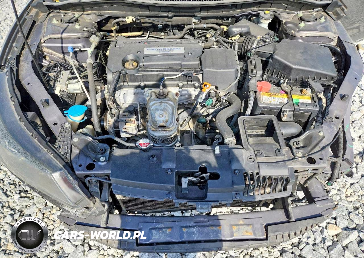 2014 Honda Accord Lx VIN:1HGCR2F30EA044664 - 11
