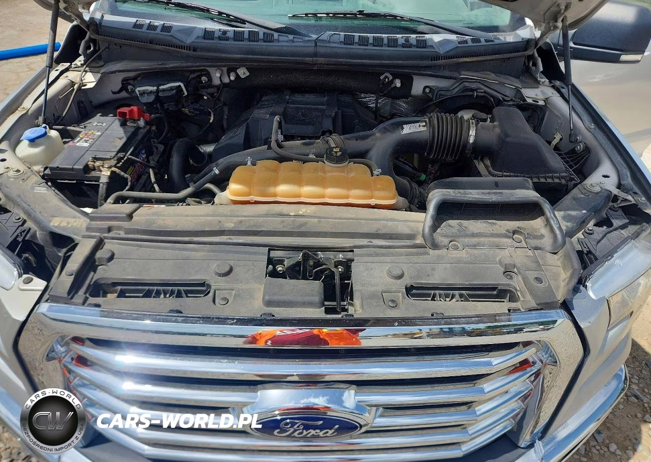 2016 Ford F150 Supercrew VIN:1FTEW1EP3GKD07953 - 11