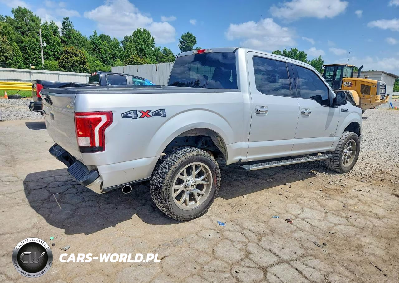 2016 Ford F150 Supercrew VIN:1FTEW1EP3GKD07953 - 3