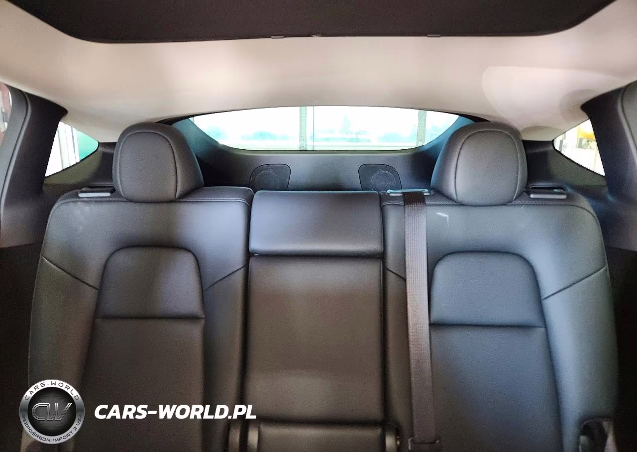2024 Tesla Model Y VIN:7SAYGDEE9RA238745 - 10