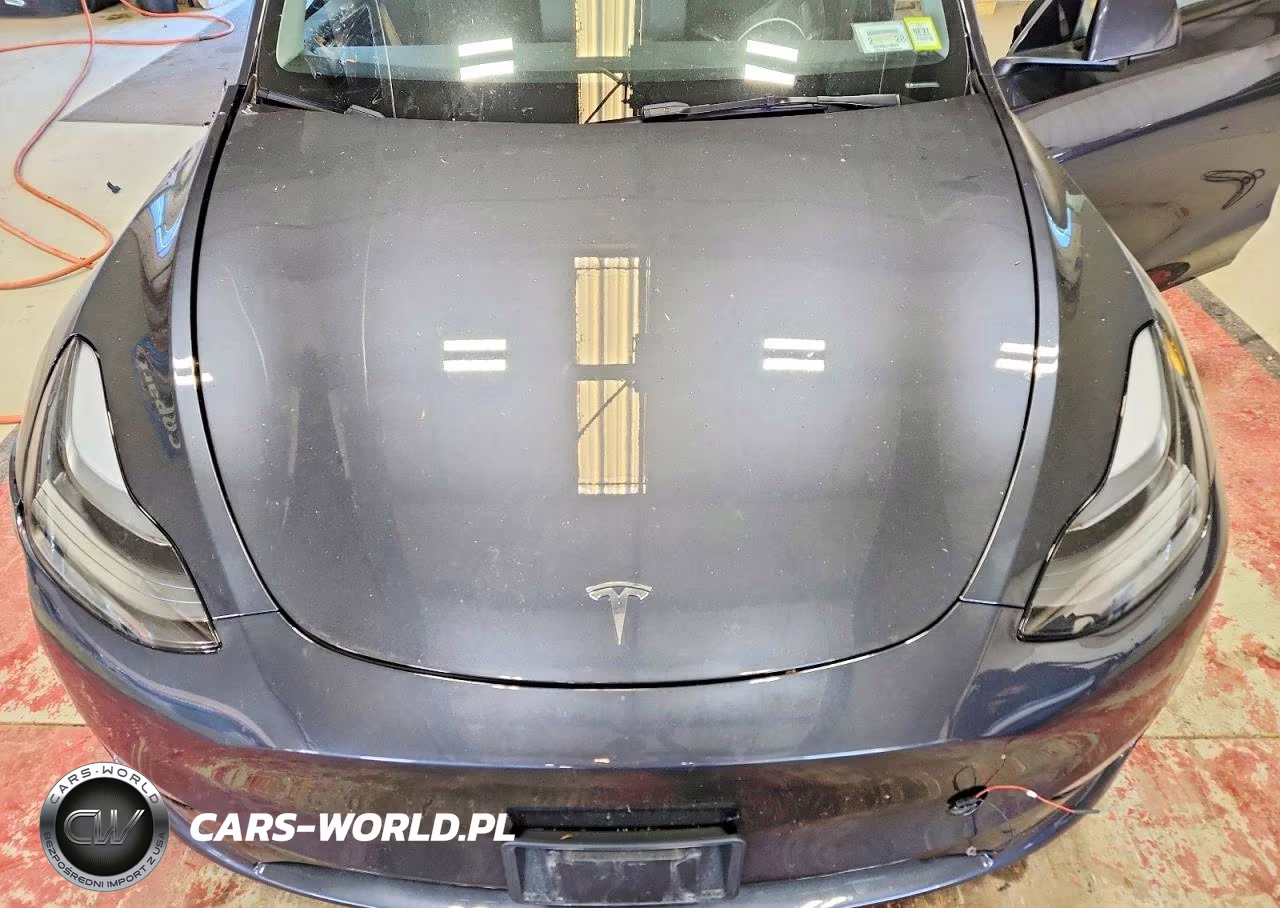 2024 Tesla Model Y VIN:7SAYGDEE9RA238745 - 12