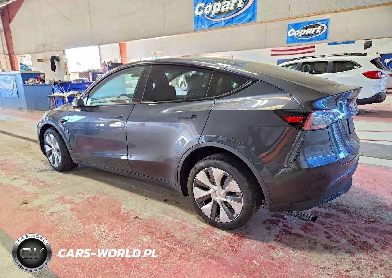 2024 Tesla Model Y VIN:7SAYGDEE9RA238745 - 2
