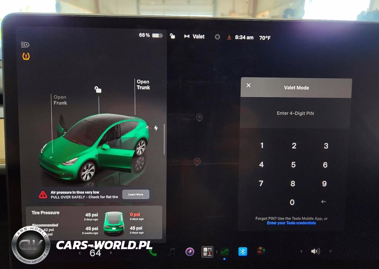 2024 Tesla Model Y VIN:7SAYGDEE9RA238745 - 9