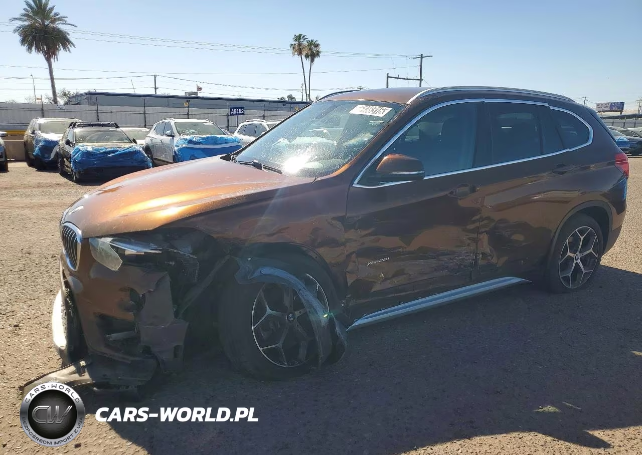 2017 BMW X1 xDrive28I – zdjęcie 1 z 13