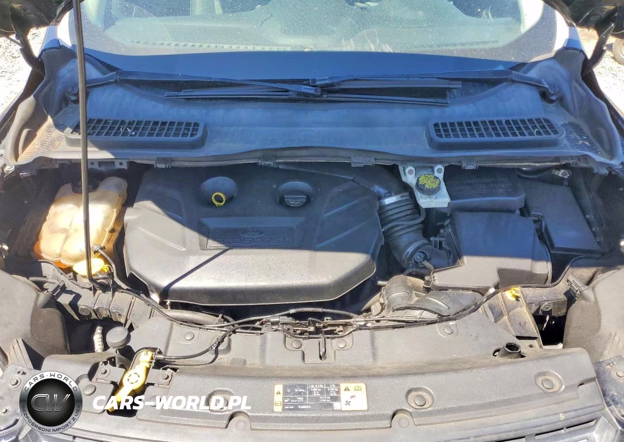 2015 Ford Escape Se VIN:1FMCU0G96FUB07704 - 12