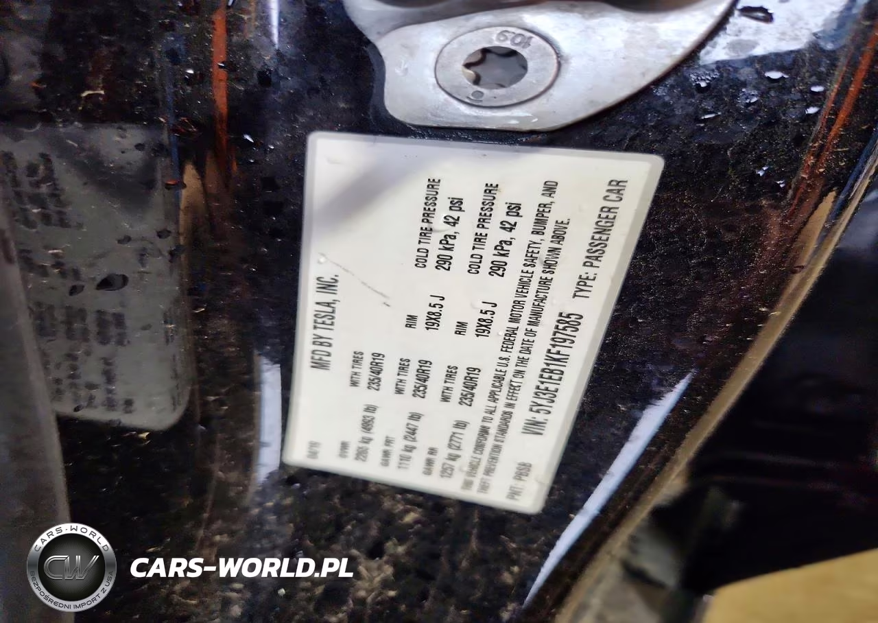 2019 Tesla Model 3 VIN:5YJ3E1EB1KF197585 - 12
