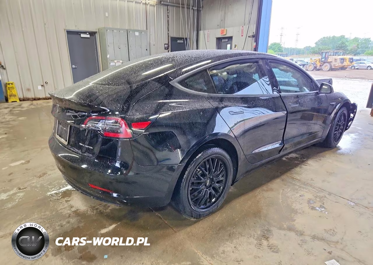 2019 Tesla Model 3 VIN:5YJ3E1EB1KF197585 - 3