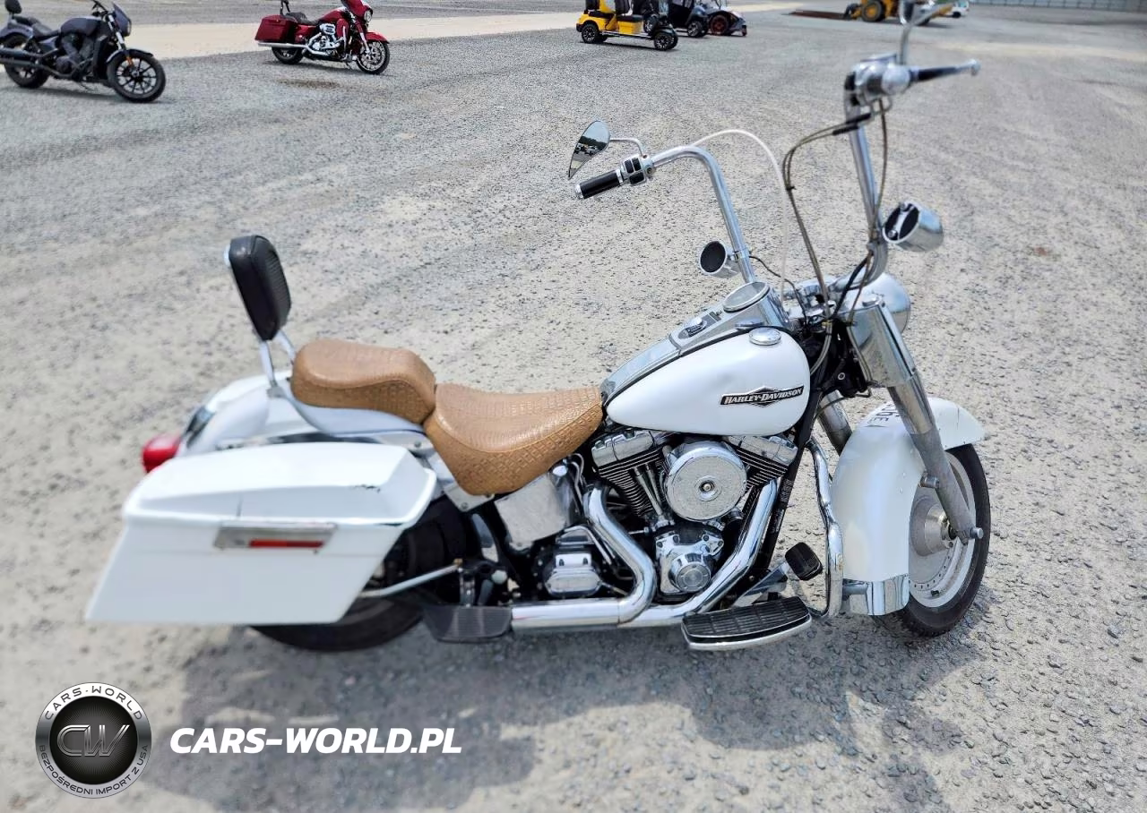 2004 Harley-Davidson Flstf