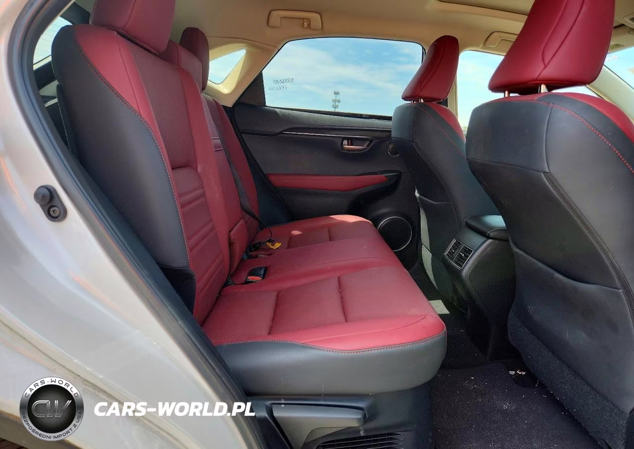 2021 Lexus Nx 300 Base VIN:JTJDARDZ6M5027348 - 11