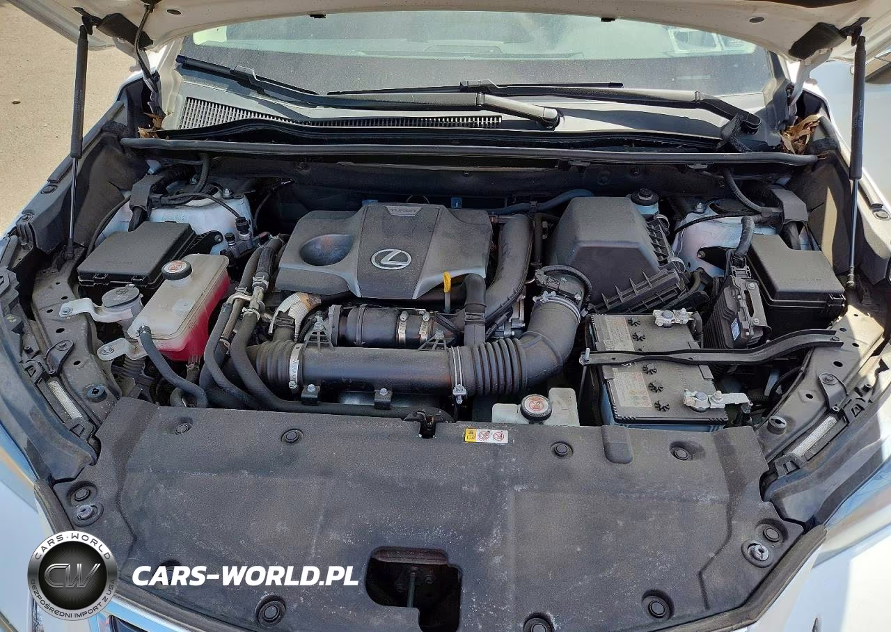 2021 Lexus Nx 300 Base VIN:JTJDARDZ6M5027348 - 12