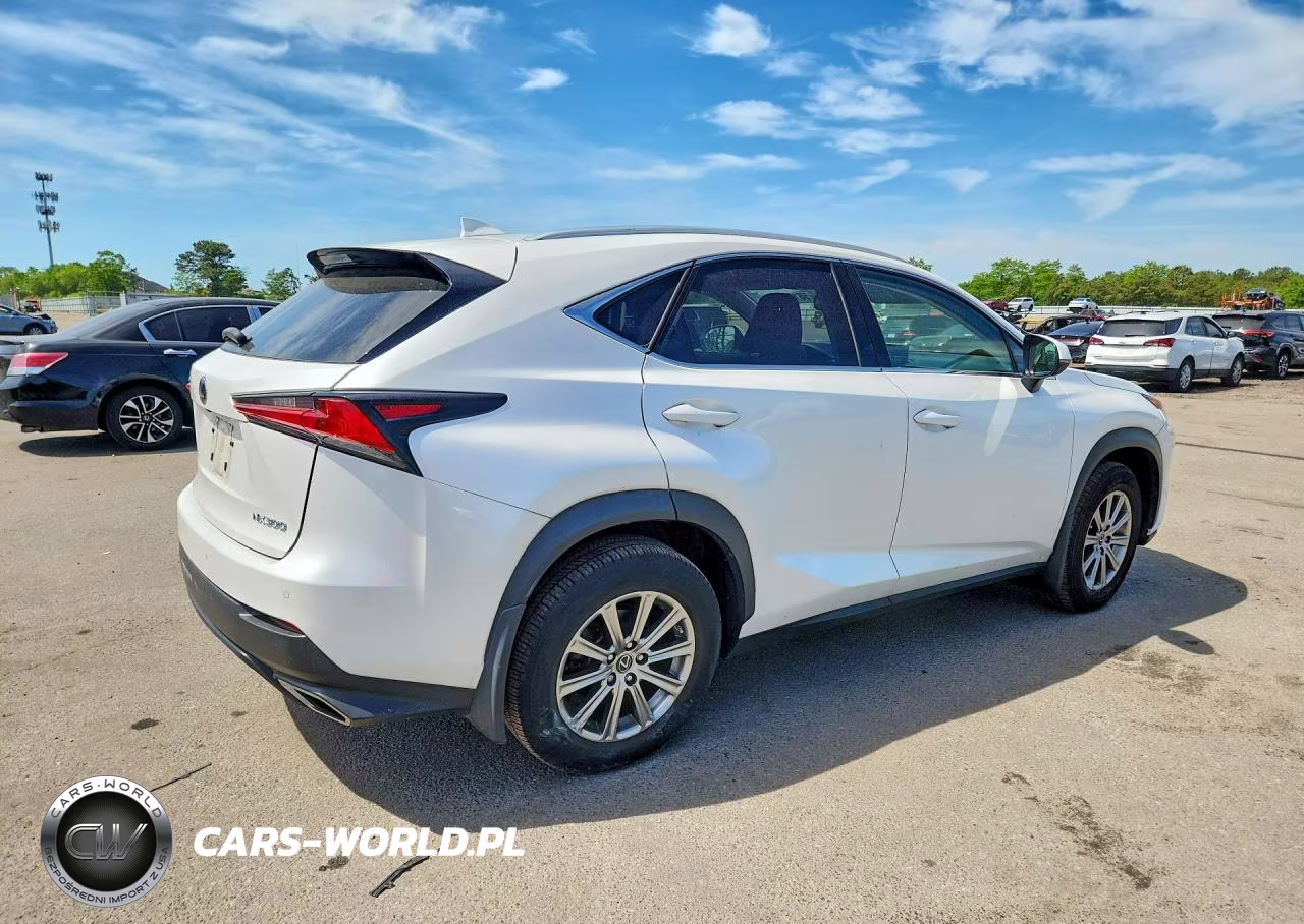 2021 Lexus Nx 300 Base VIN:JTJDARDZ6M5027348 - 3