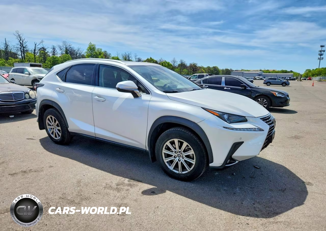 2021 Lexus Nx 300 Base VIN:JTJDARDZ6M5027348 - 4