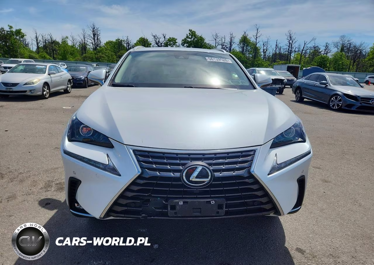 2021 Lexus Nx 300 Base VIN:JTJDARDZ6M5027348 - 5