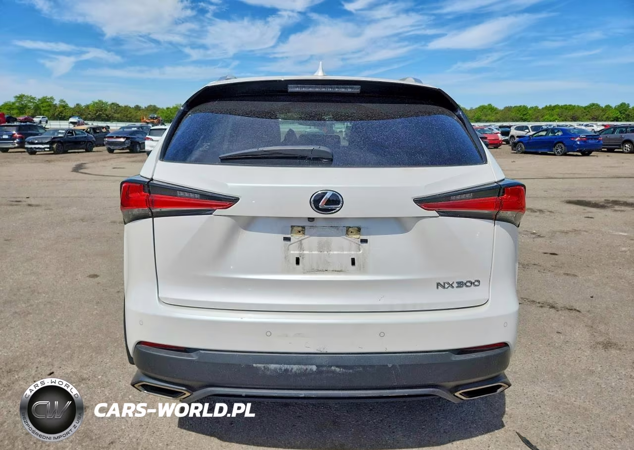 2021 Lexus Nx 300 Base VIN:JTJDARDZ6M5027348 - 6