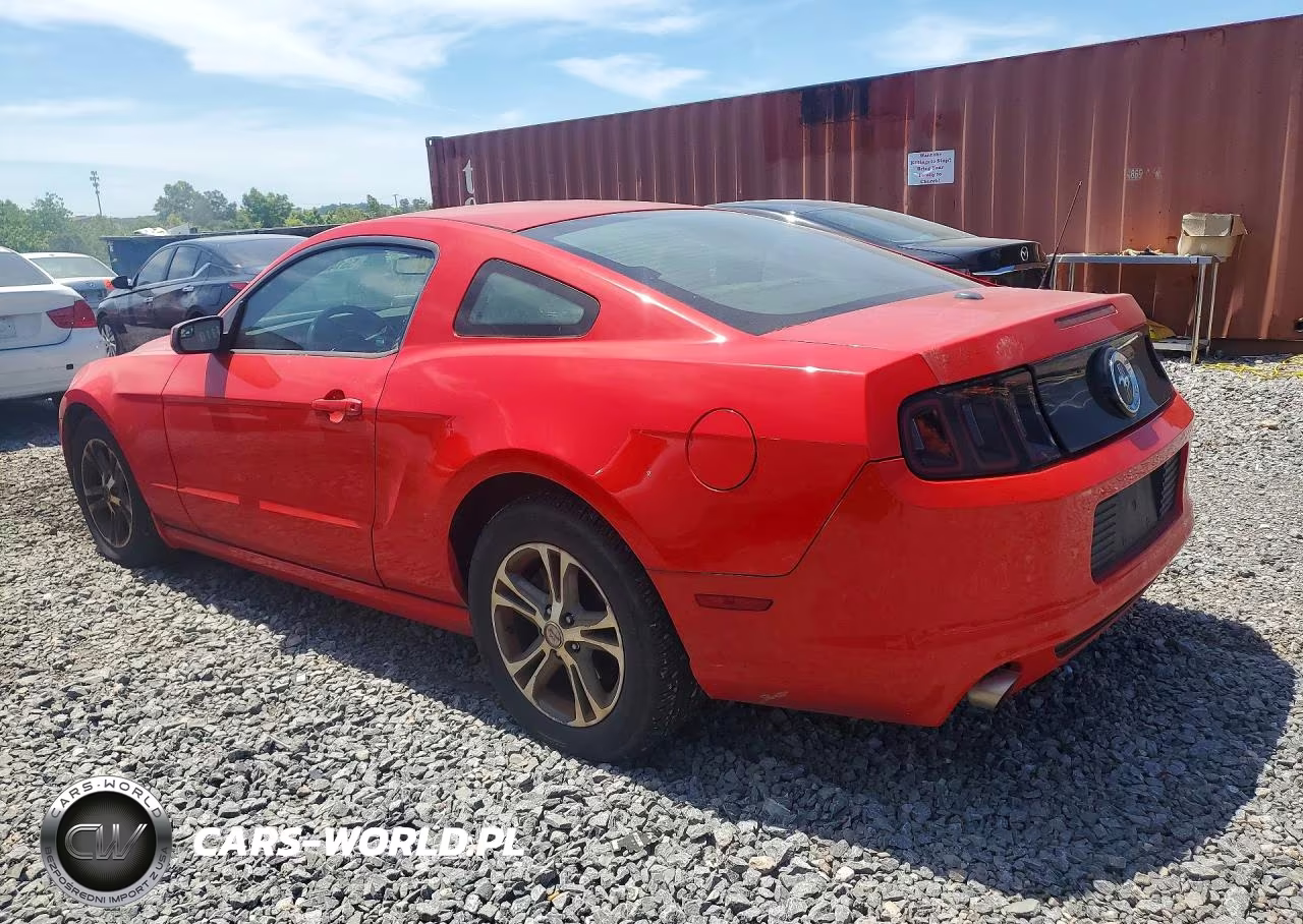 2014 Ford Mustang VIN:1ZVBP8AM7E5302414 - 2