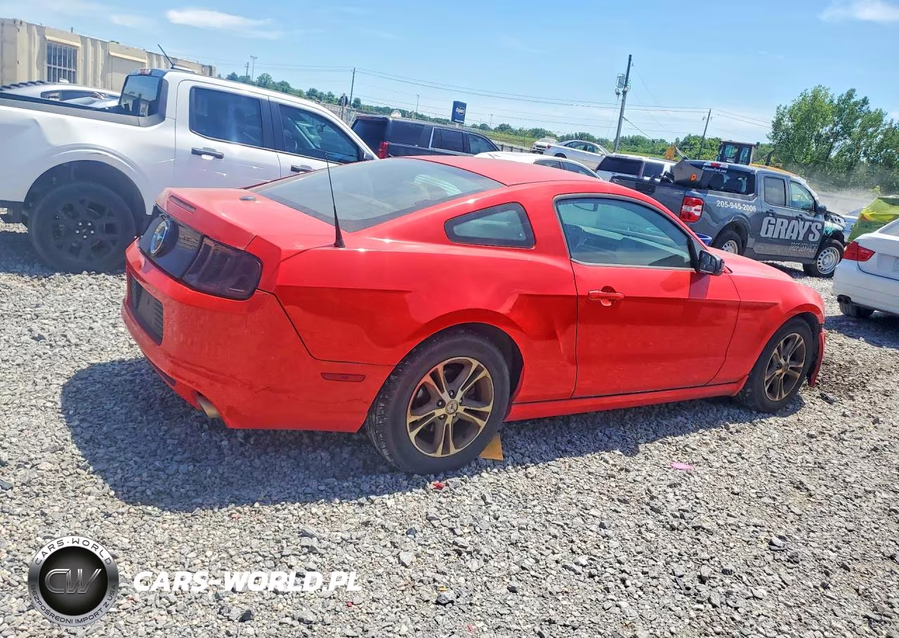 2014 Ford Mustang VIN:1ZVBP8AM7E5302414 - 3