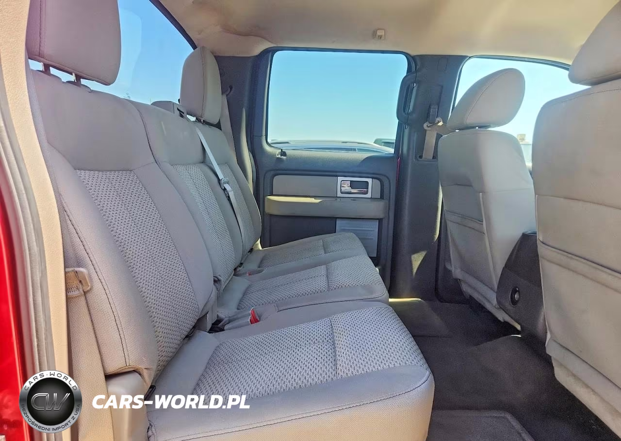 2010 Ford F150 Supercrew VIN:1FTFW1CV2AKE16966 - 10