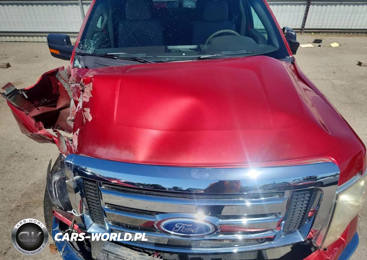 2010 Ford F150 Supercrew VIN:1FTFW1CV2AKE16966 - 11
