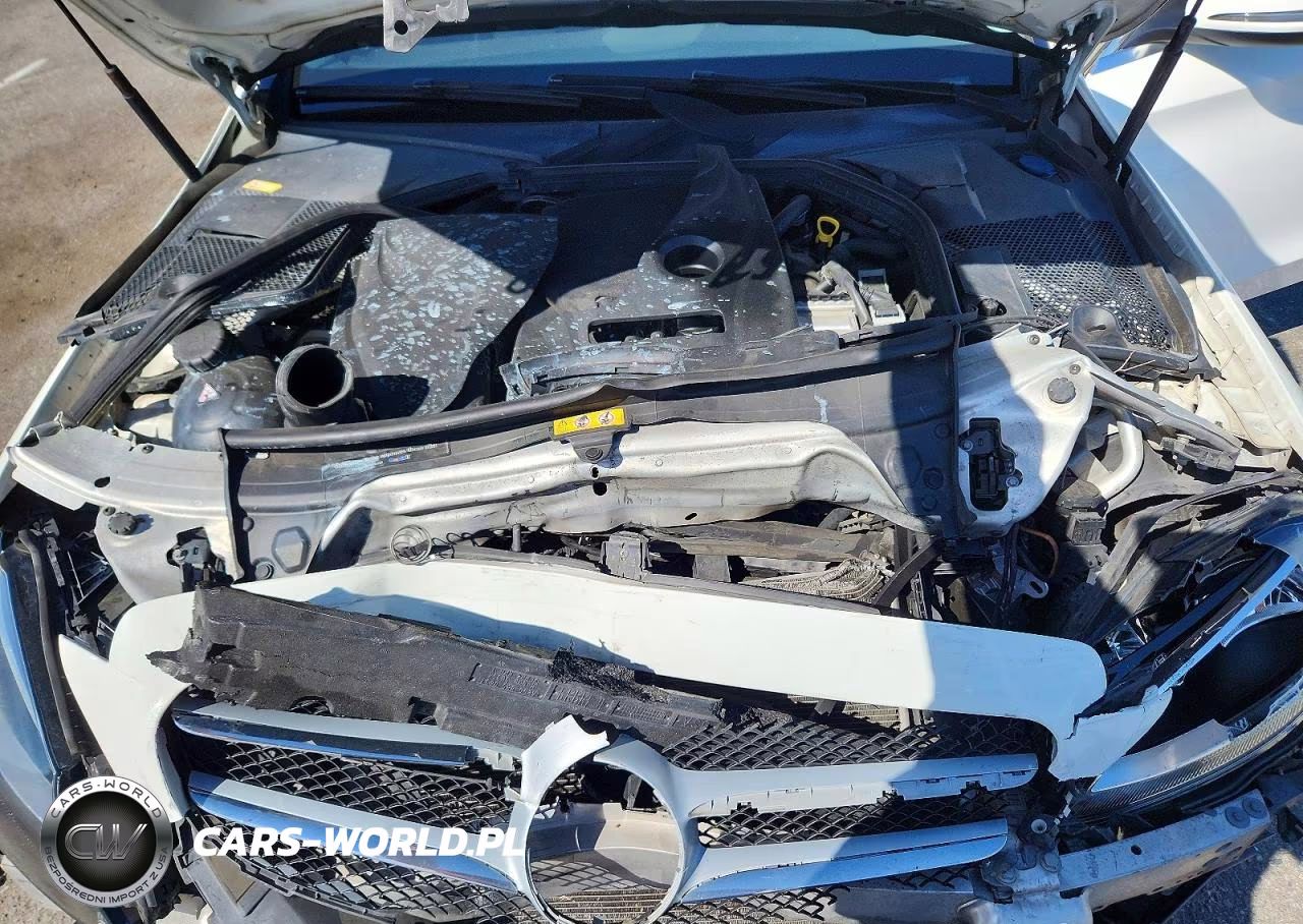 2016 Mercedes-Benz C 300 VIN:55SWF4JB0GU114820 - 11