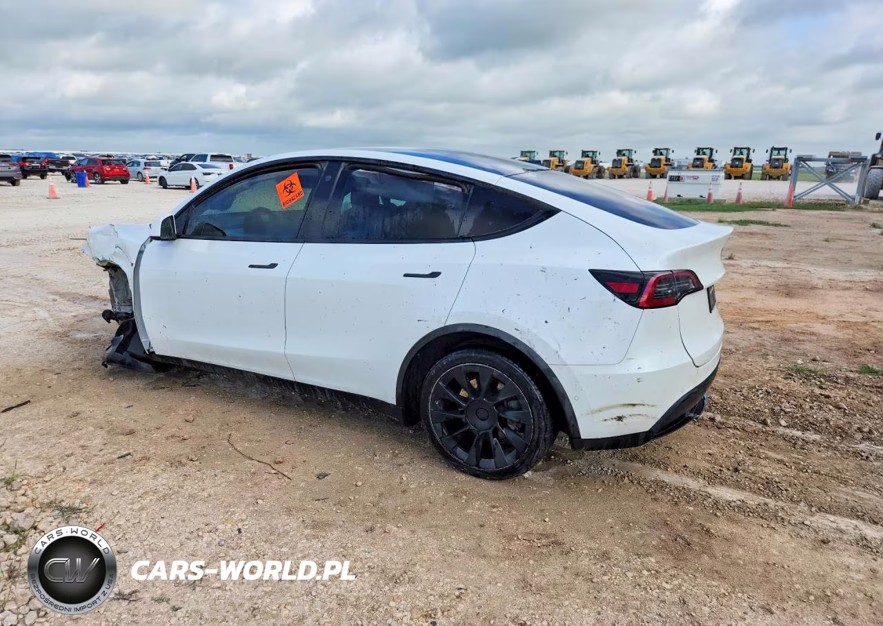 2022 Tesla Model Y VIN:7SAYGDEE1NF480555 - 2
