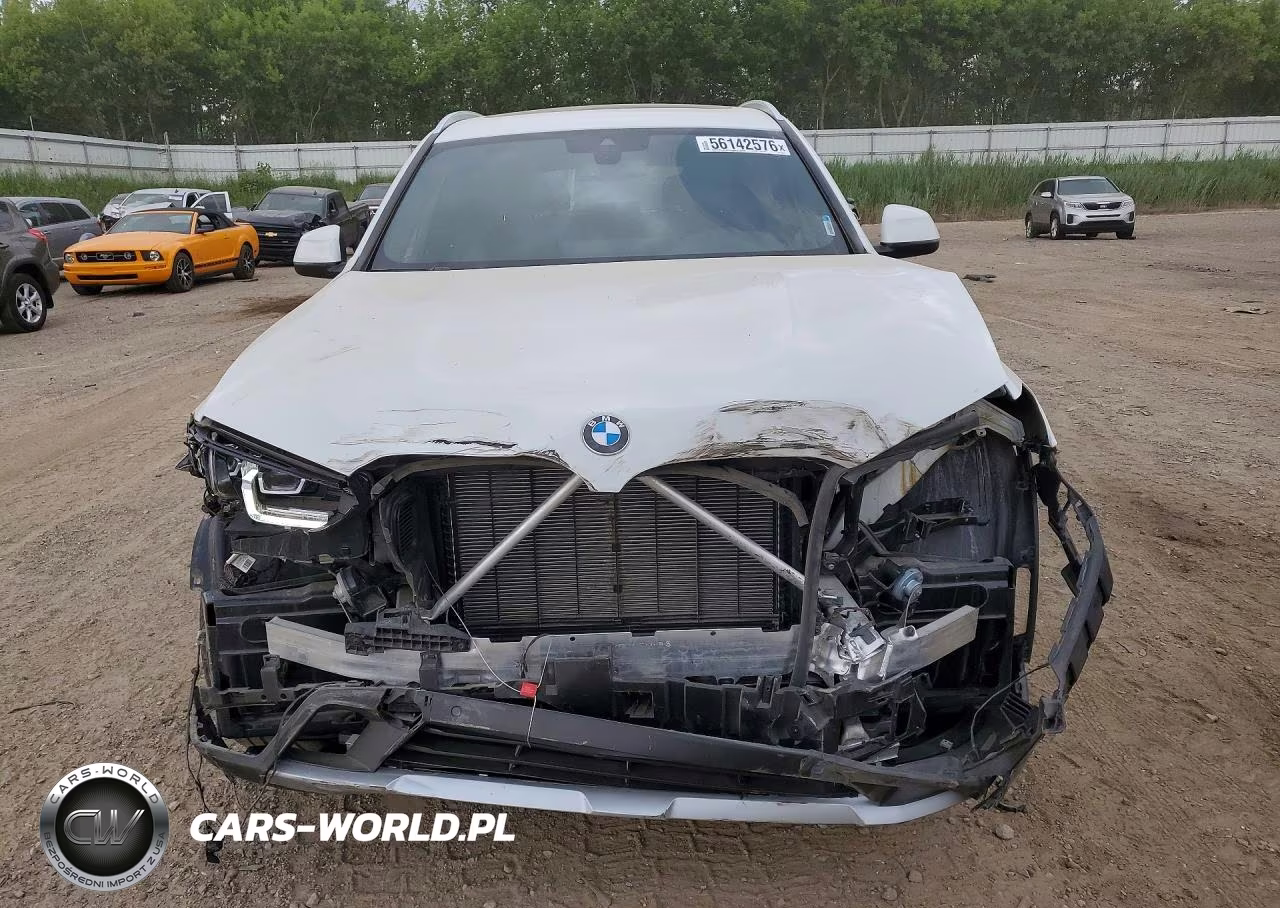 2023 BMW X3 xDrive30I VIN:5UX53DP0XP9P68437 - 5