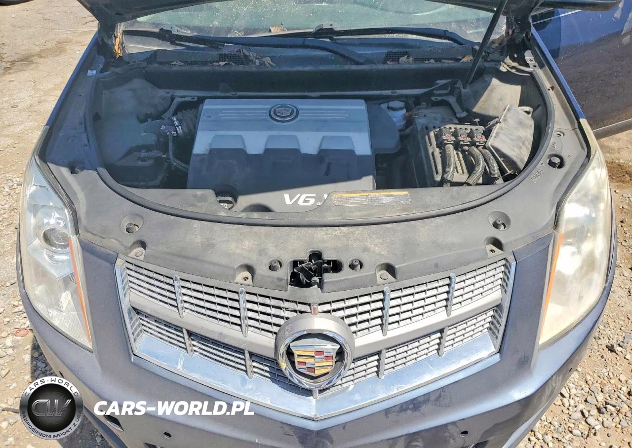 2010 Cadillac Srx Performance Collection VIN:3GYFNBEYXAS599323 - 12