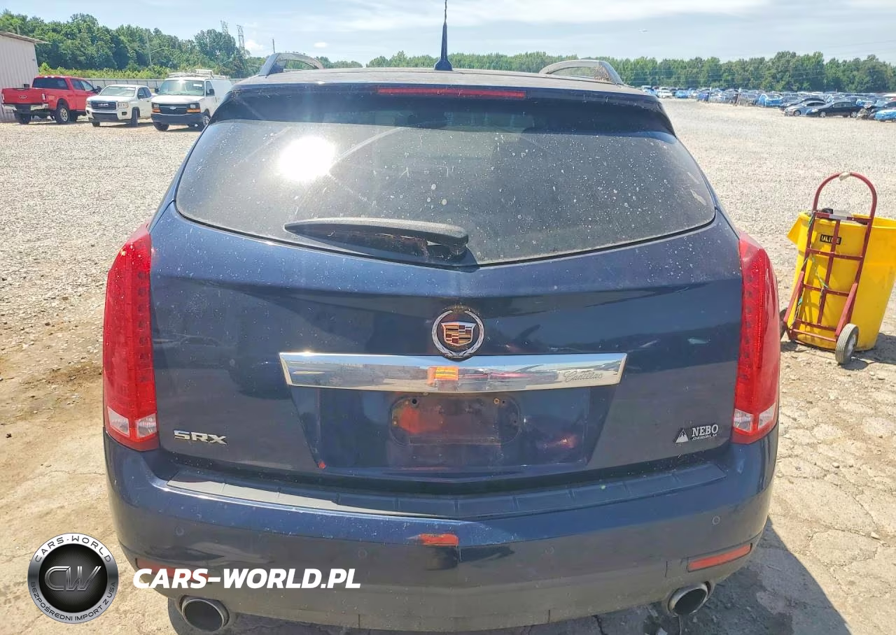 2010 Cadillac Srx Performance Collection VIN:3GYFNBEYXAS599323 - 6