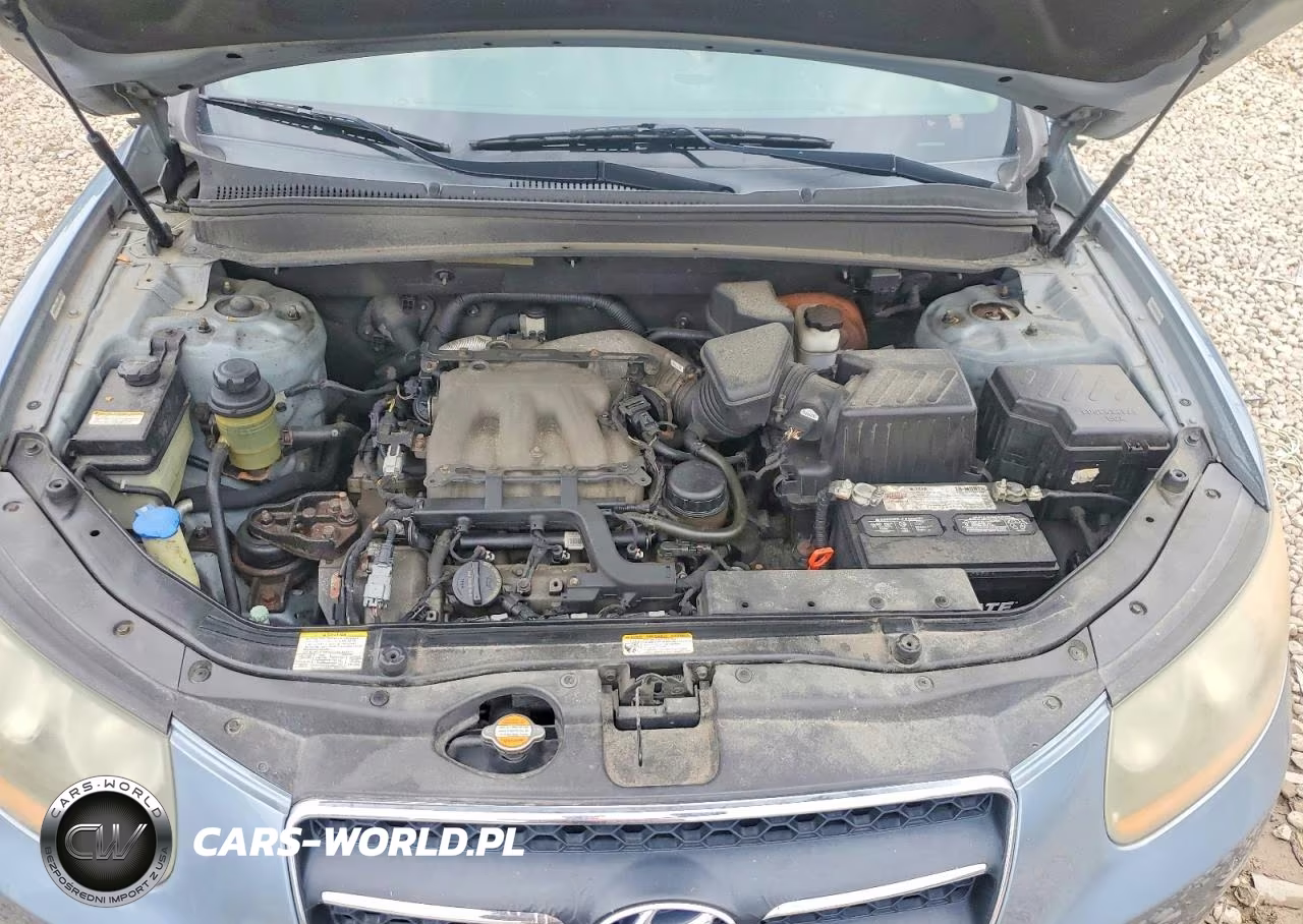 2009 Hyundai Santa Fe Limited VIN:5NMSH73E09H270456 - 12
