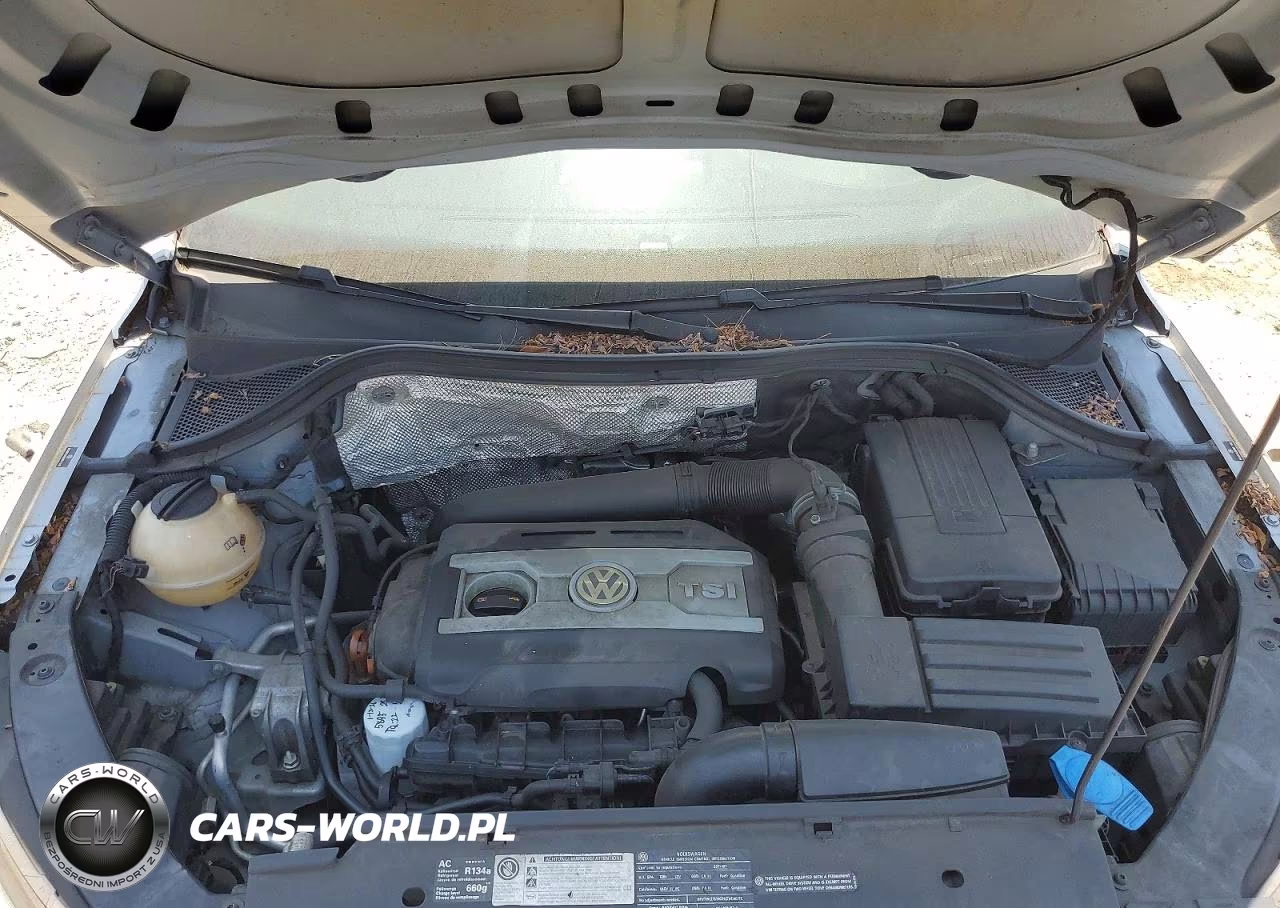 2011 Volkswagen Tiguan S VIN:WVGBV7AX5BW511908 - 12