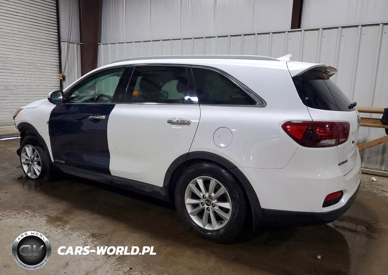 2019 Kia Sorento Lx VIN:5XYPGDA30KG523056 - 2