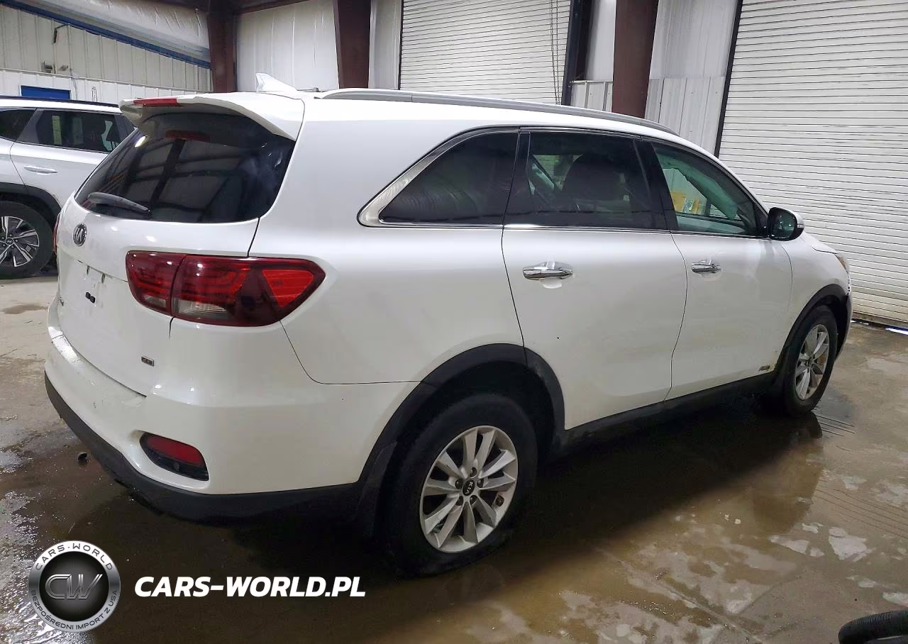 2019 Kia Sorento Lx VIN:5XYPGDA30KG523056 - 3