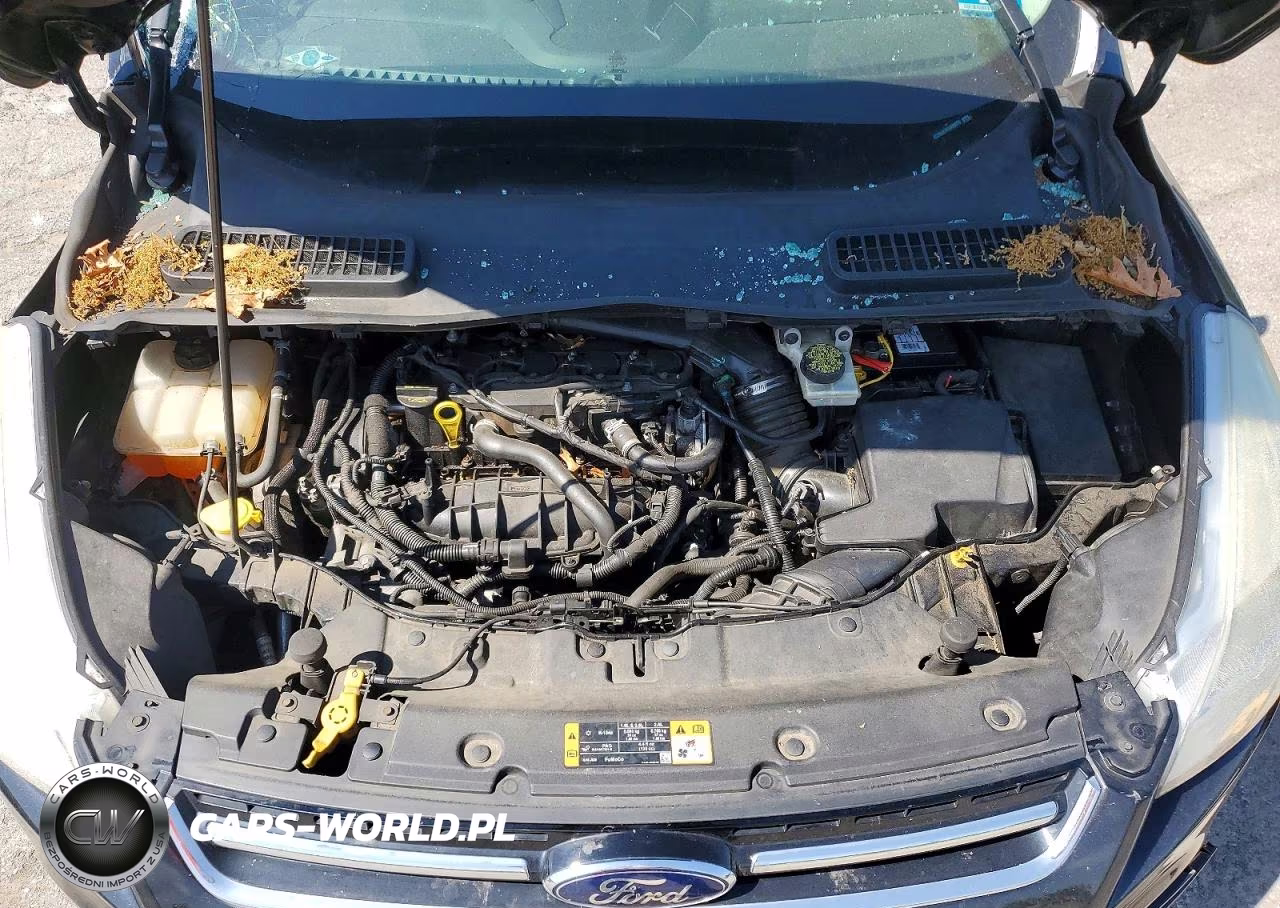 2014 Ford Escape Titanium VIN:1FMCU9JX1EUA99053 - 12