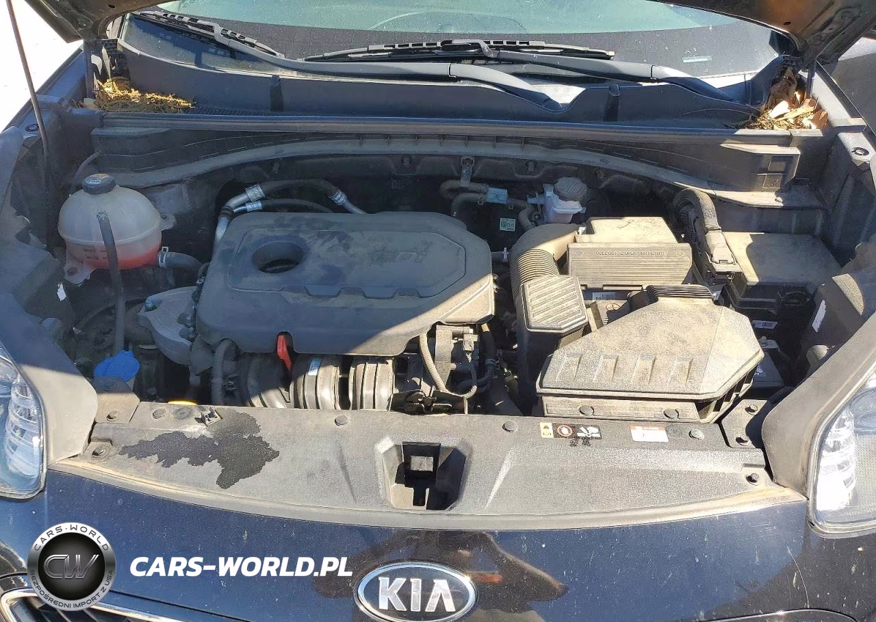 2021 Kia Sportage Lx VIN:KNDPMCAC5M7931166 - 12