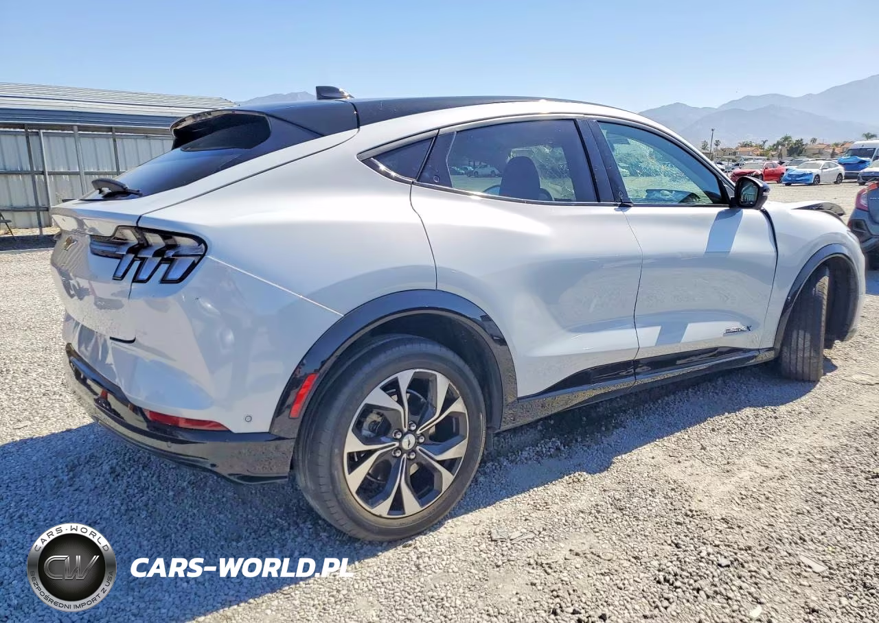 2023 Ford Mustang Mach-E Premium VIN:3FMTK3R74PMA41503 - 3