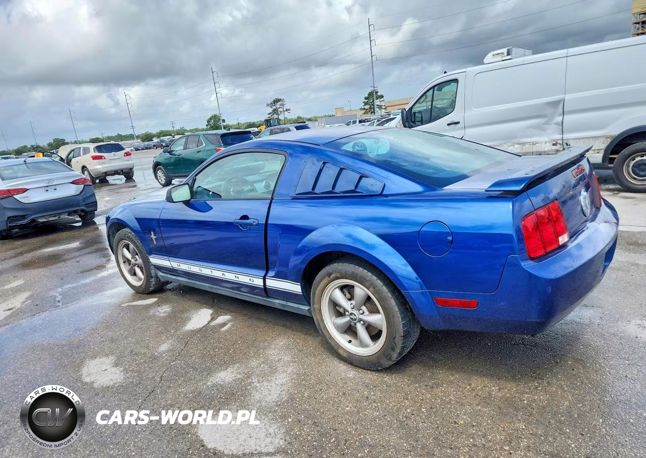 2006 Ford Mustang VIN:1ZVFT80N665182937 - 2