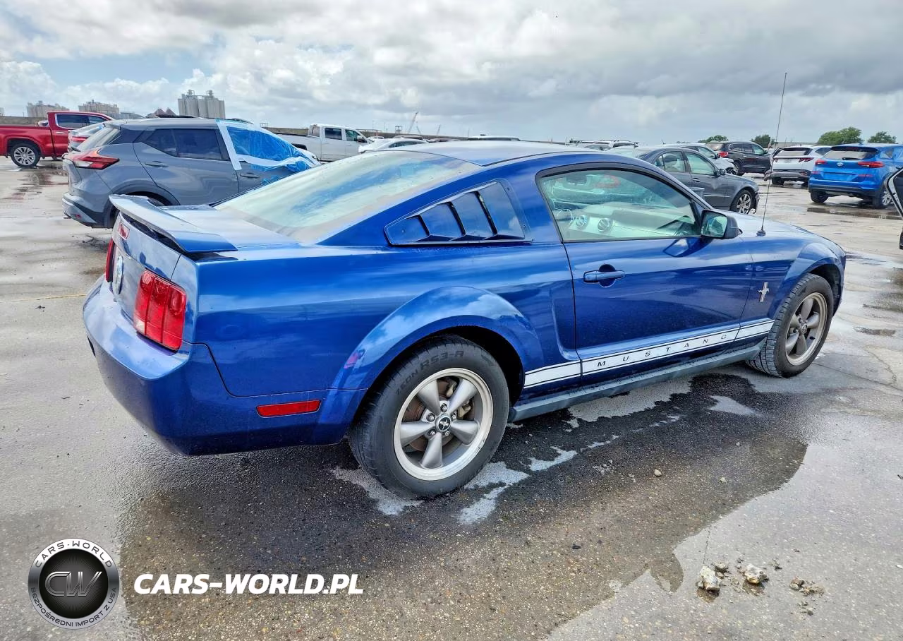 2006 Ford Mustang VIN:1ZVFT80N665182937 - 3