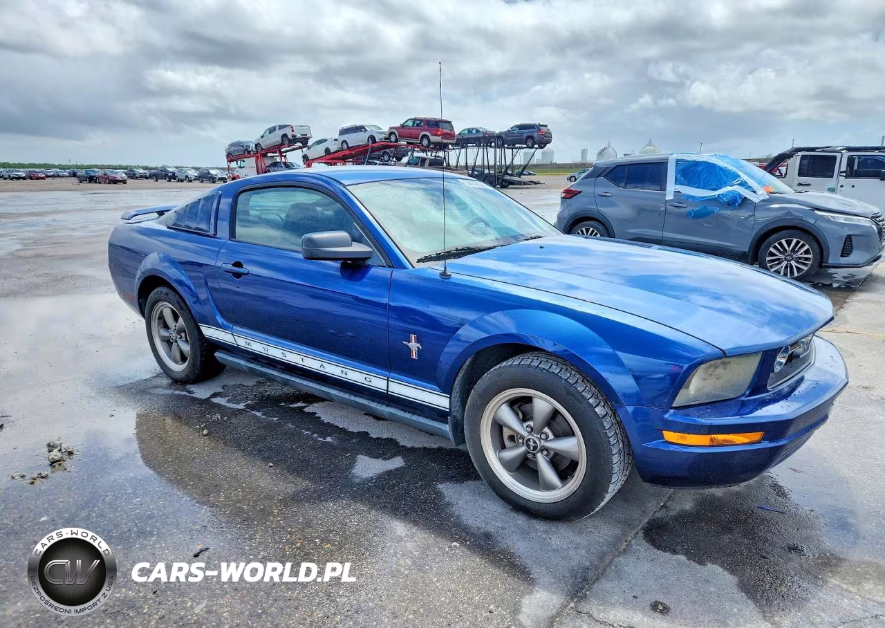 2006 Ford Mustang VIN:1ZVFT80N665182937 - 4