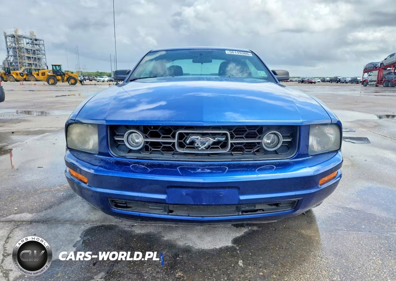 2006 Ford Mustang VIN:1ZVFT80N665182937 - 5