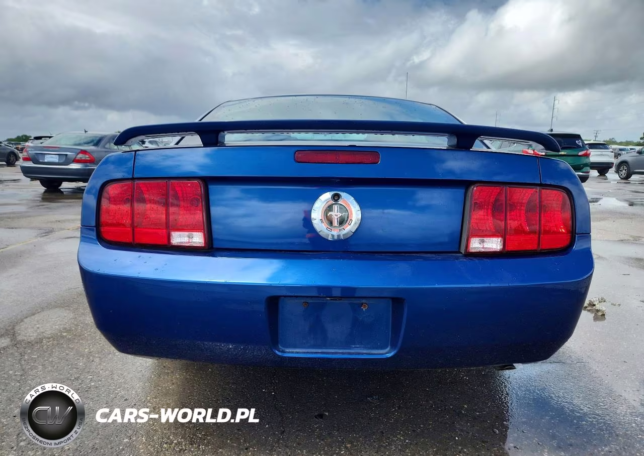 2006 Ford Mustang VIN:1ZVFT80N665182937 - 6